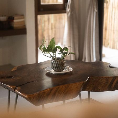 Big Tree Boutique Hotel Κο Τάο Εξωτερικό φωτογραφία
