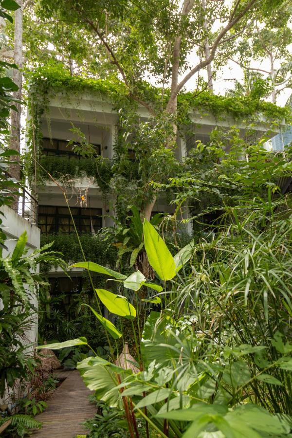 Big Tree Boutique Hotel Κο Τάο Εξωτερικό φωτογραφία