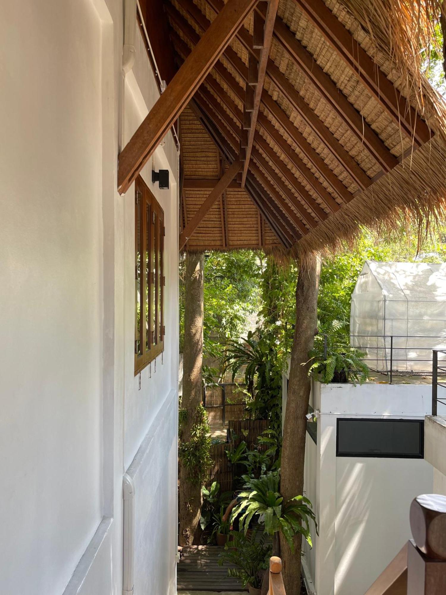Big Tree Boutique Hotel Κο Τάο Εξωτερικό φωτογραφία