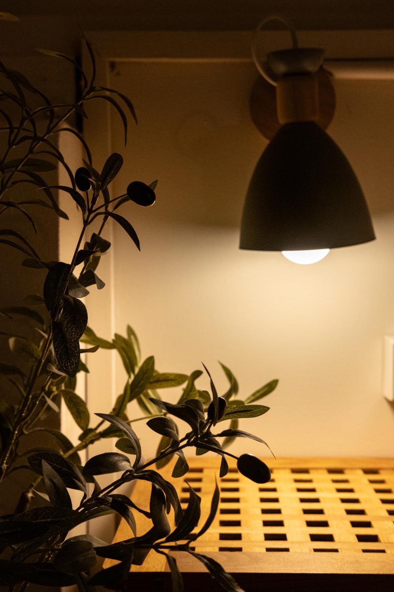 Big Tree Boutique Hotel Κο Τάο Εξωτερικό φωτογραφία