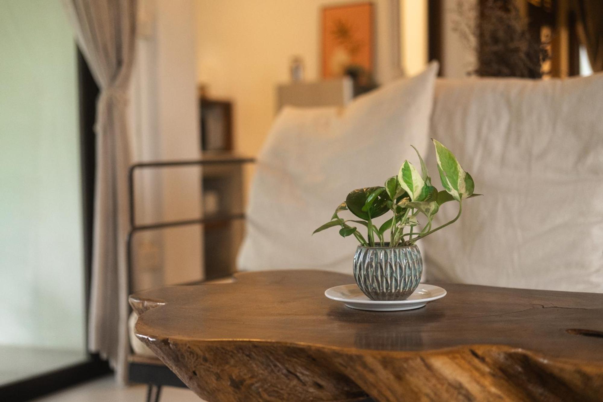 Big Tree Boutique Hotel Κο Τάο Εξωτερικό φωτογραφία