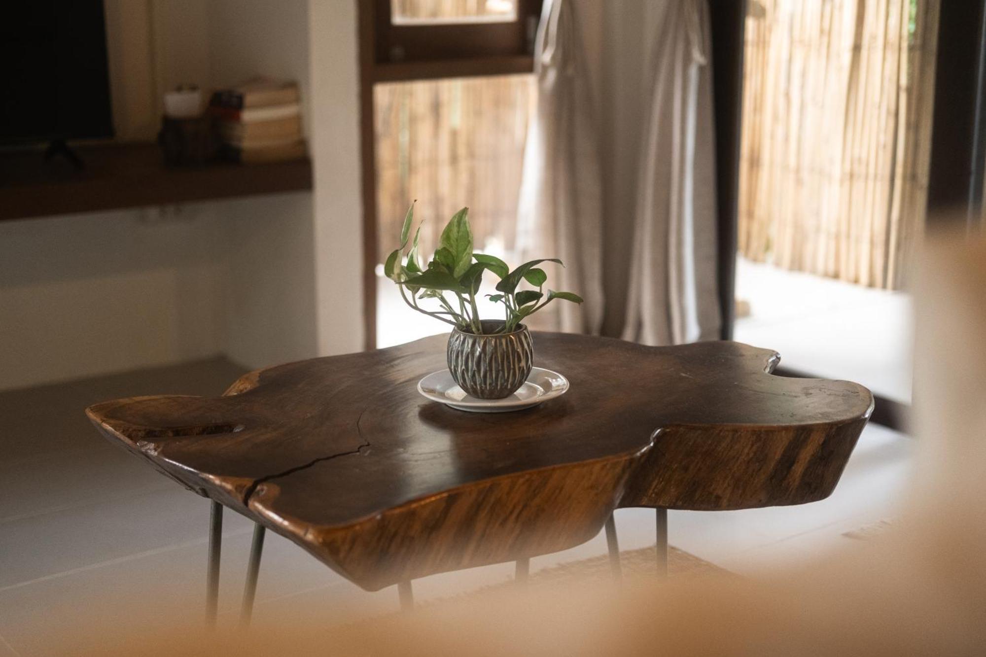 Big Tree Boutique Hotel Κο Τάο Εξωτερικό φωτογραφία